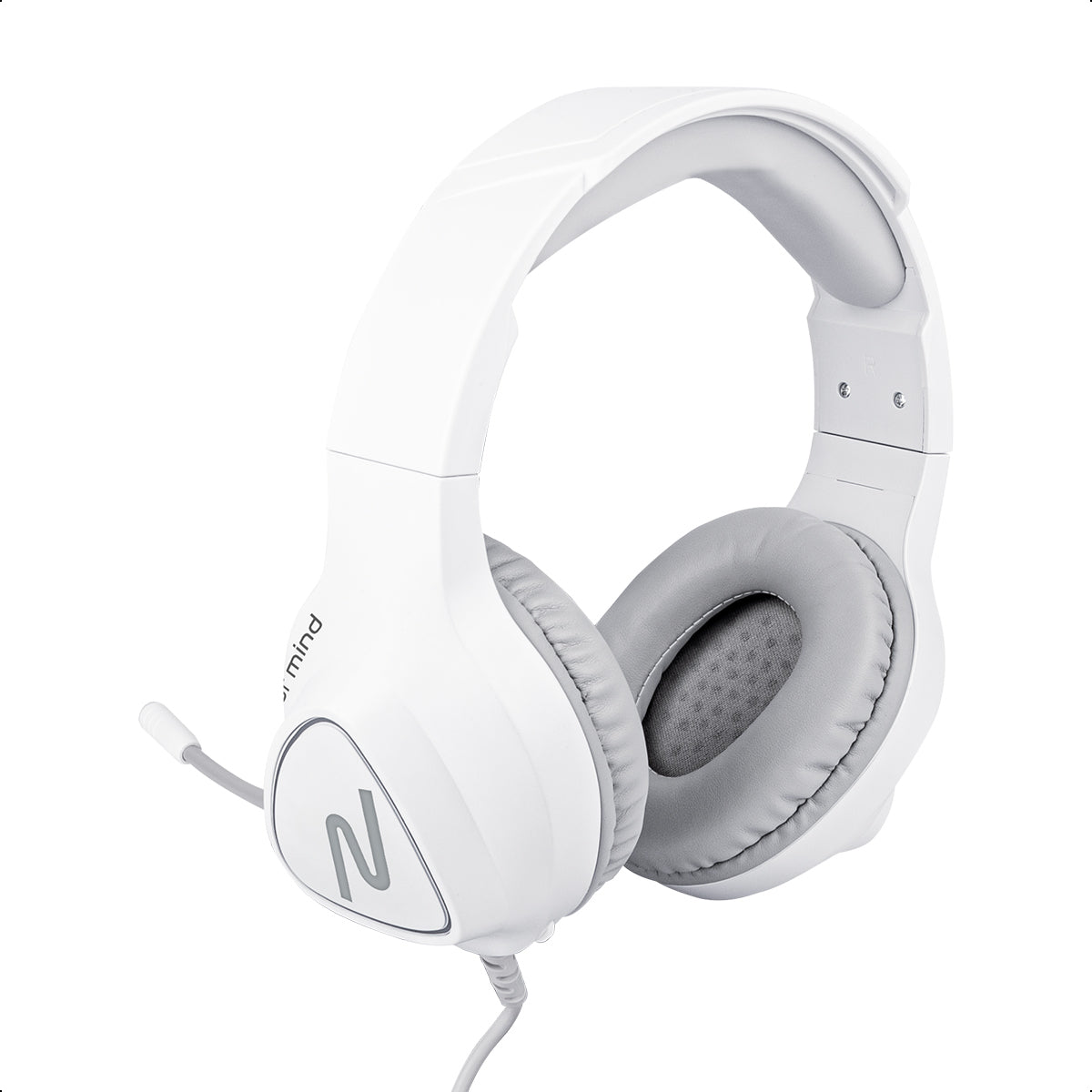 Image Headset RGB NSACAU01
