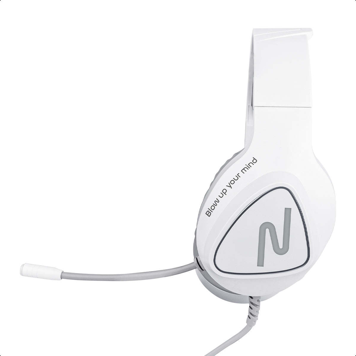 Image Headset RGB NSACAU01