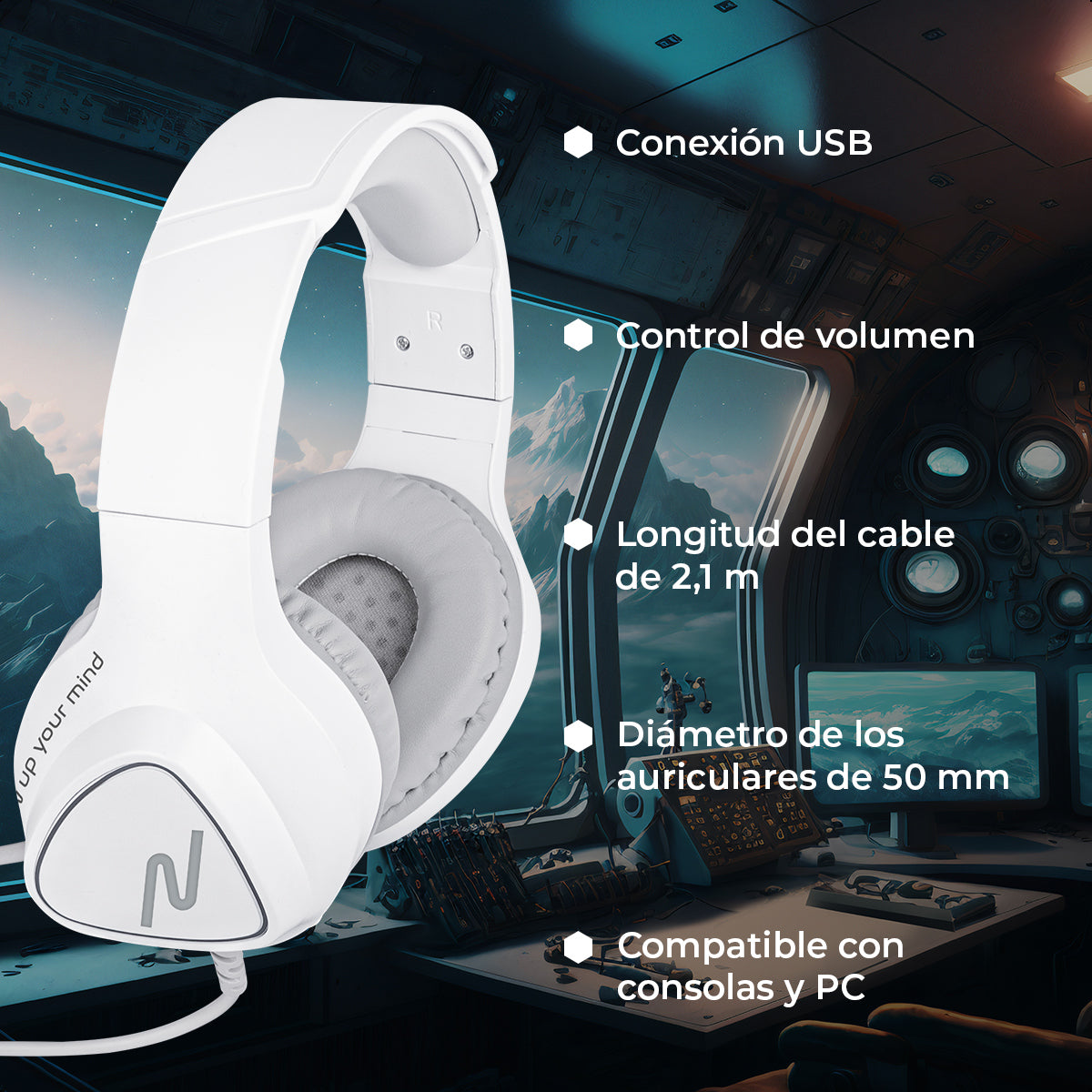 Image Headset RGB NSACAU01