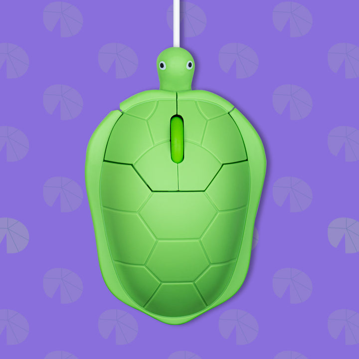 Creative Tortuga