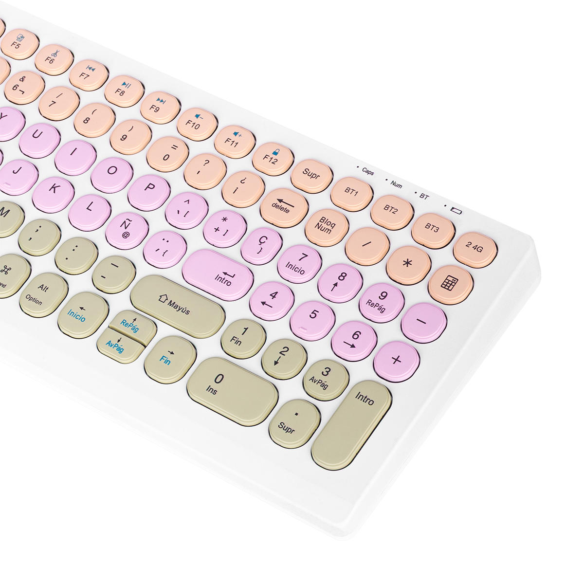 Image Combo Palette Blanco