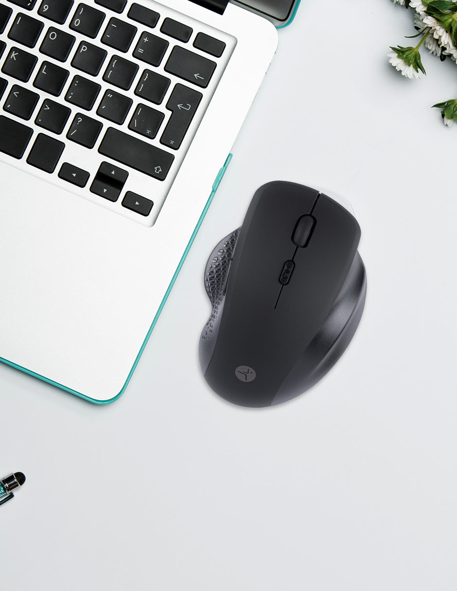 Image Ergono 03
