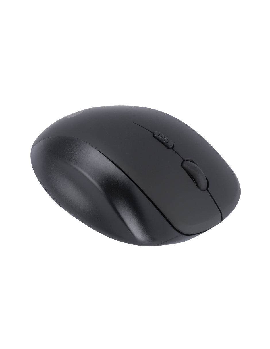 Image Ergono 03