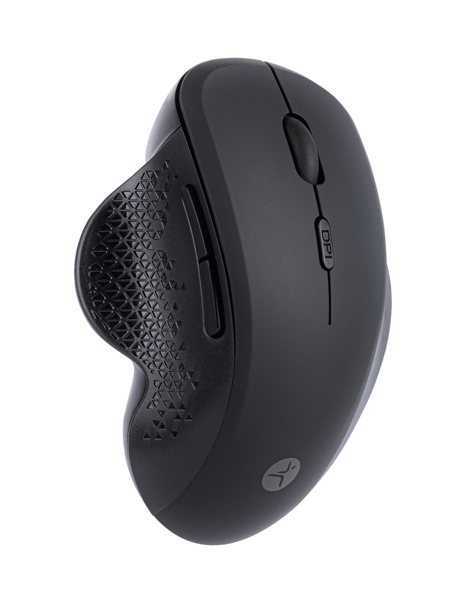 Image Ergono 03